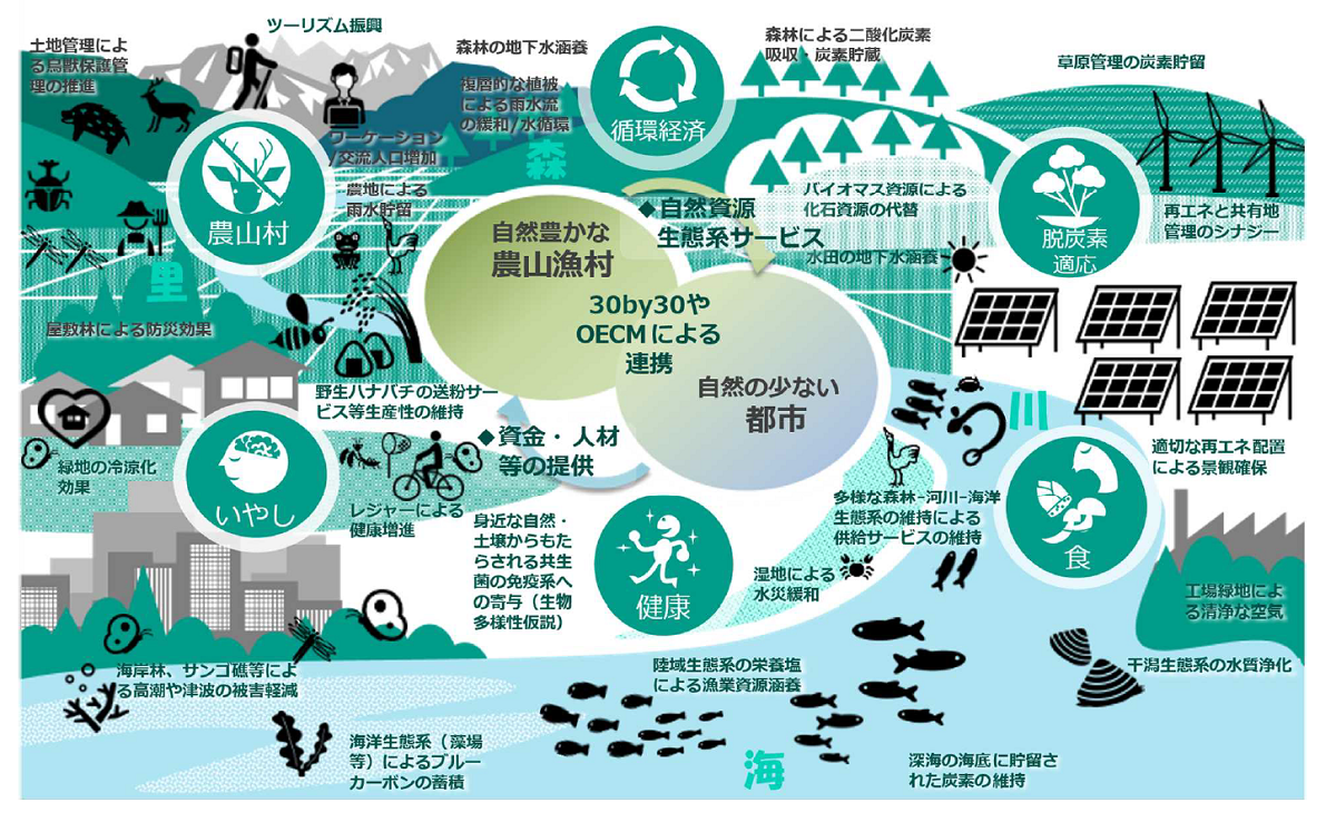日本の自然環境政策 自然共生社会をつくる （30 by 30」が、都市
