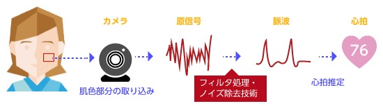 顔画像を用いた脈波推定技術
