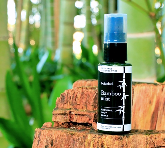 よみがえれ日本の竹 ベンチャー企業が描く竹産業の未来 未来コトハジメ よみがえれ日本の竹 ベンチャー企業が描く竹産業の未来 未来コトハジメ