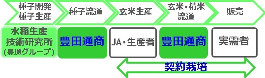 豊田通商の構築した多収米ビジネスモデル