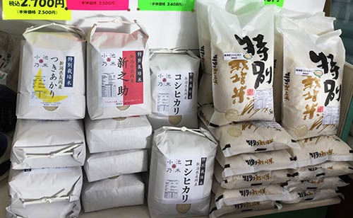 米穀店でも良食味多収米が売られるようになってきた。都内の老舗米穀店、浅間食糧（東京都大田区）の店頭には、「コシヒカリ」「新之助」の横に良食味多収米の「つきあかり」が並べられている。その美味しさにリピーターが増えているという。（写真：高山和良）