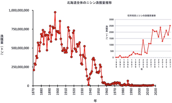 幻の魚 ニシンが復活 北海道で漁獲じわりと増加 21世紀のニシン漁の行方 前編 未来コトハジメ