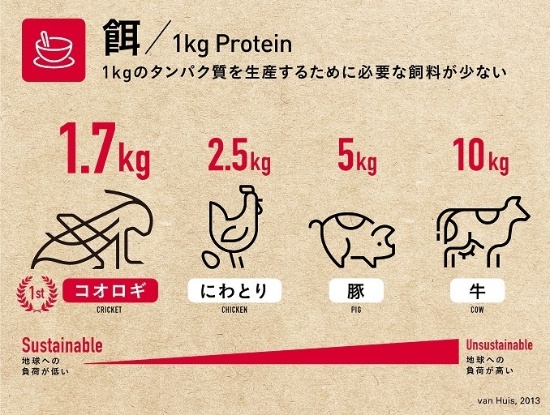コオロギが優れた食材であるこれだけの理由 日本で本格化する昆虫食 2 未来コトハジメ コオロギが優れた食材であるこれだけの理由 日本で本格化する昆虫食 2 未来コトハジメ
