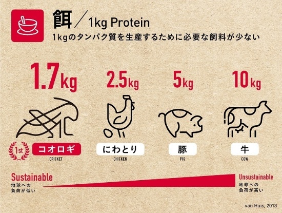 1キロのタンパク質を生産するために必要な飼料の比較（出所：グリラス・ホームページ）
