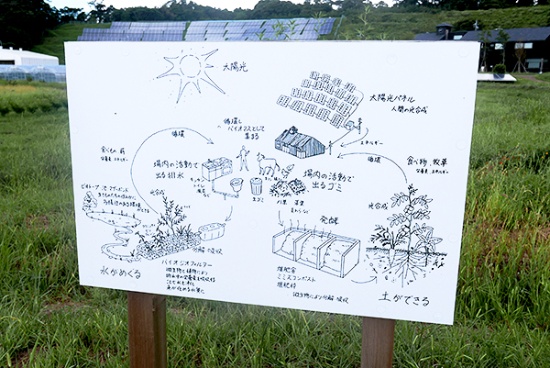 クルックフィールズの循環型農業の仕組みや、水の再利用や太陽光エネルギーの使い方などをイラスト入りで解説した看板。園内を散策しながらこうしたサステナブルな仕組みを実感できるようになっている(写真:高山和良)