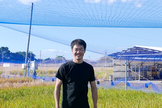 未来の食糧危機はコメが救う 収穫量1 5倍の 飛躍的 多収技術 未来コトハジメ 未来の食糧危機はコメが救う 収穫量1 5倍の 飛躍的 多収技術 未来コトハジメ