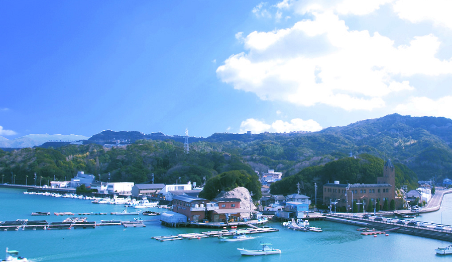 和歌山県西牟婁郡白浜町にある近畿大学水産研究所 （写真提供：近畿大学）