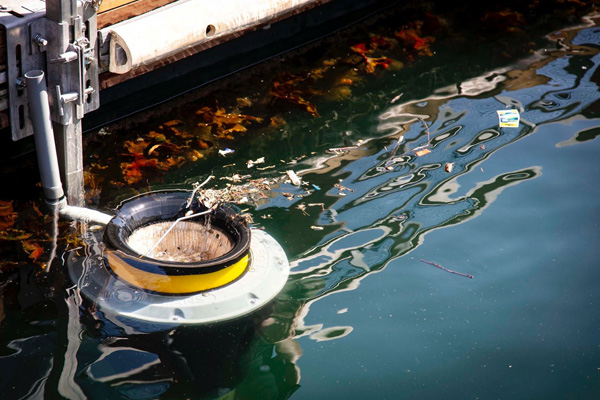 オーストラリア発の海用ごみ回収装置 Seabin 世界の海と生き物を守るために導入が広がる 未来コトハジメ