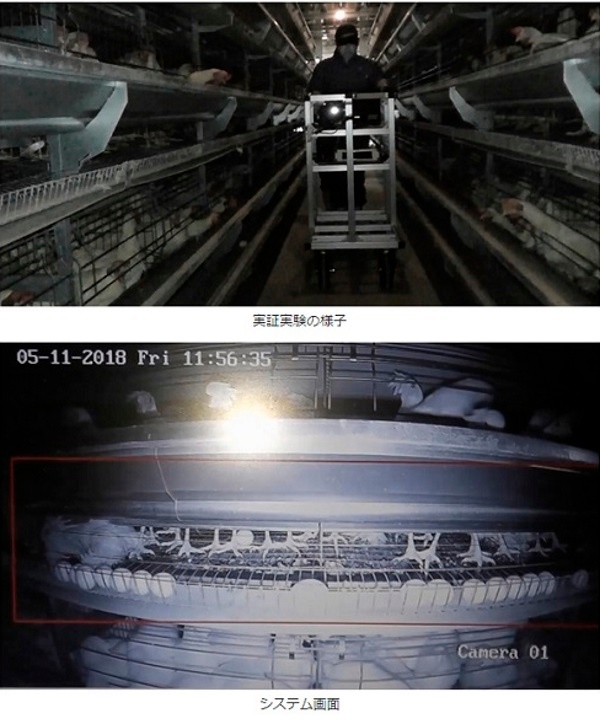 斃死鶏(へいしけい)発見システム。実用化はまだ先だが、実証実験を重ねて将来的には台車の自動走行も目指す(マルイ農協、NECの共同リリースより)