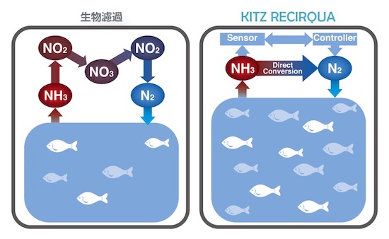 現実味を増す陸上養殖 世界の食卓を守る一次産業の未来（前編） (2