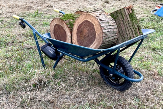 有田ミカンを支える 電動ねこ車 販売を担うja 開発にsns活用 2ページ目 未来コトハジメ 有田ミカンを支える 電動ねこ車 販売を担うja 開発にsns活用 2ページ目 未来コトハジメ