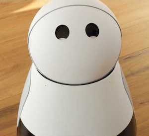 (写真1)Mayfield Robotics開発したコンパニオンロボットKuri
