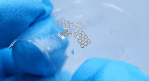 (写真3)チューリッヒ工科大学の研究チームが開発した可食性センサー(チューリッヒ工科大学のYouTube画像から引用)