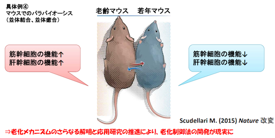 人生100年時代、活発化する“不老”への挑戦 (2ページ目) | 未来