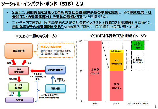 SIBの概要(出所:経済産業省)