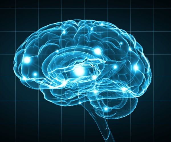 脳の健康診断をAIがサポート　認知症の早期発見が社会を変えていく