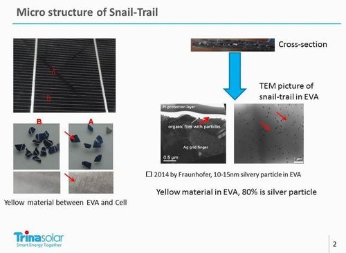 樹脂製バックシートの水分が引き起こす スネイルライン トラブル メガソーラービジネス 日経bp 樹脂製バックシートの水分が引き起こす スネイルライン トラブル メガソーラービジネス 日経bp