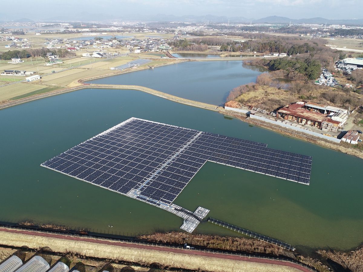 水鳥のフン 釣り人 兵庫のため池に見る水上太陽光の運用上の課題 探訪 メガソーラービジネス 日経bp