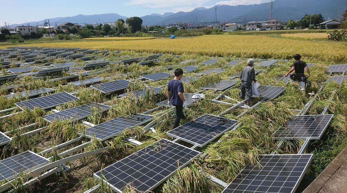 図2●昨年9月の台風24号で全倒壊した