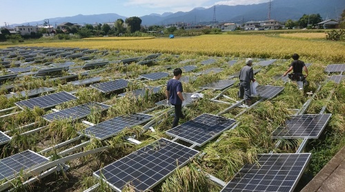 図2●昨年9月の台風24号で全倒壊した