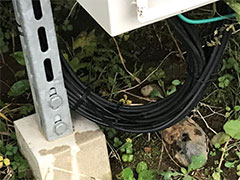 犯人は「今年の干支」、電線をかじって漏電、あわやメガソーラーが稼働停止に