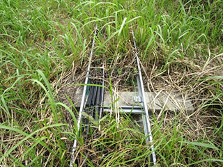 「フタをケチったラック」、電線の損傷や火災、除草時に事故も