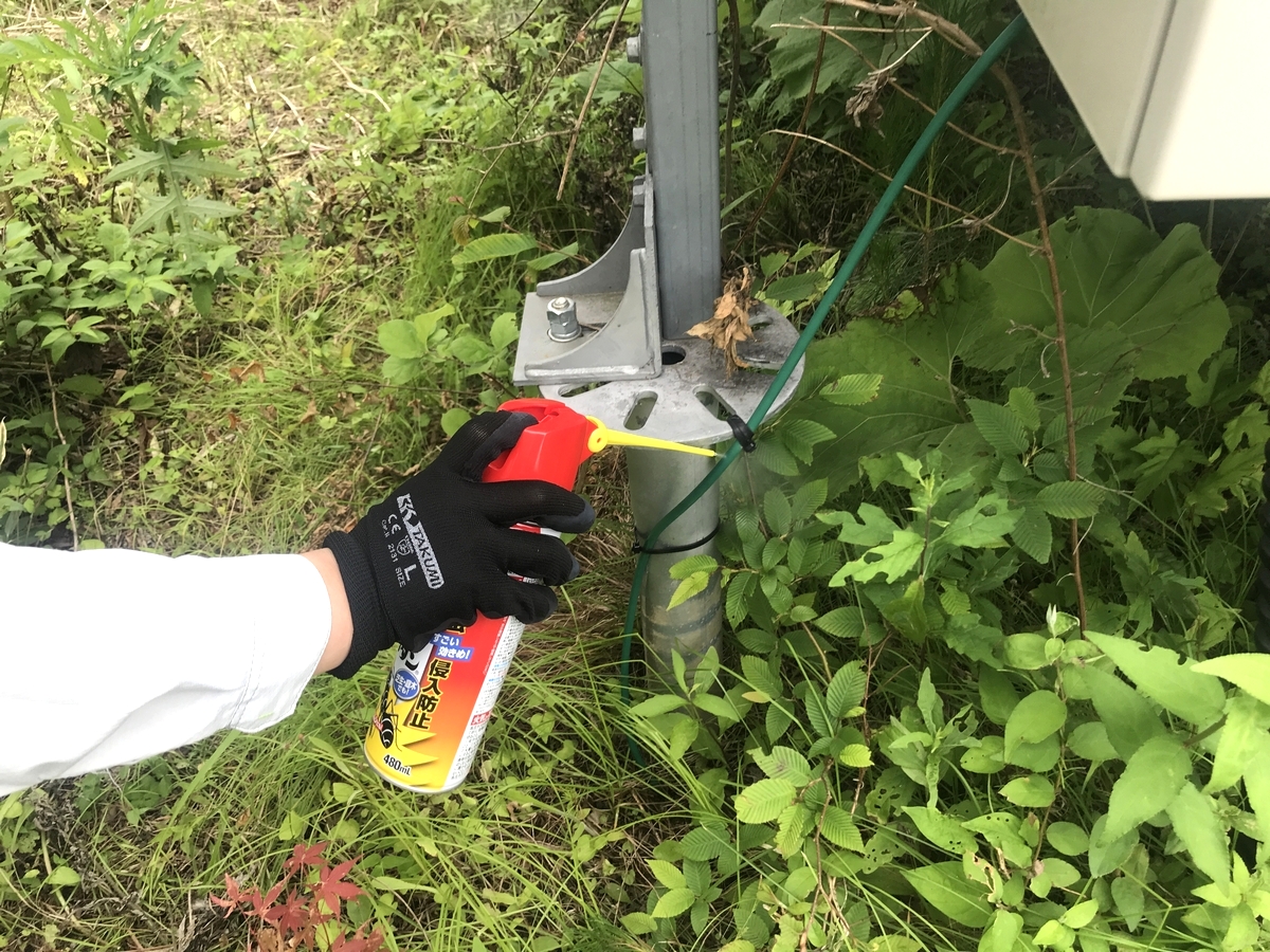 まるで「散弾銃」、停止したブレーカーからアリの卵やサナギが噴出