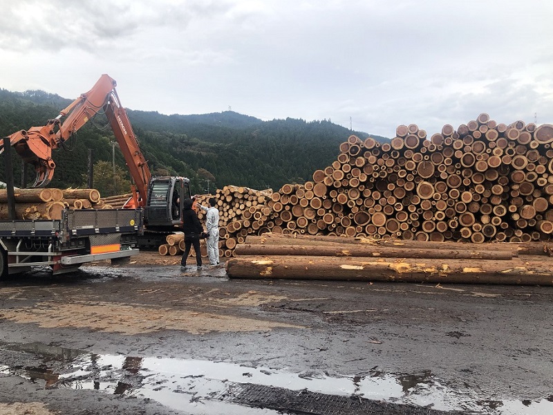 なぜバイオマス燃料は集まらないのか？　国内外で「奪い合い」