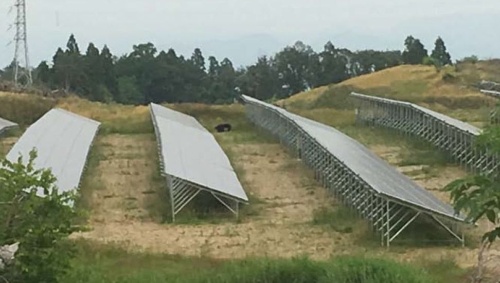 図1●太陽光発電所内に侵入した2頭のクマ