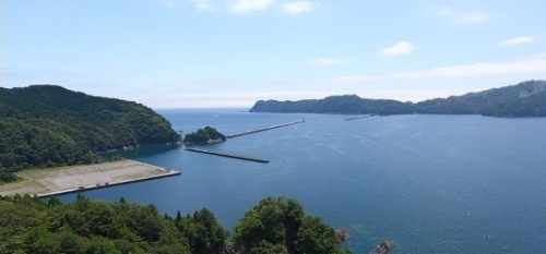 図1●実証設備の様子