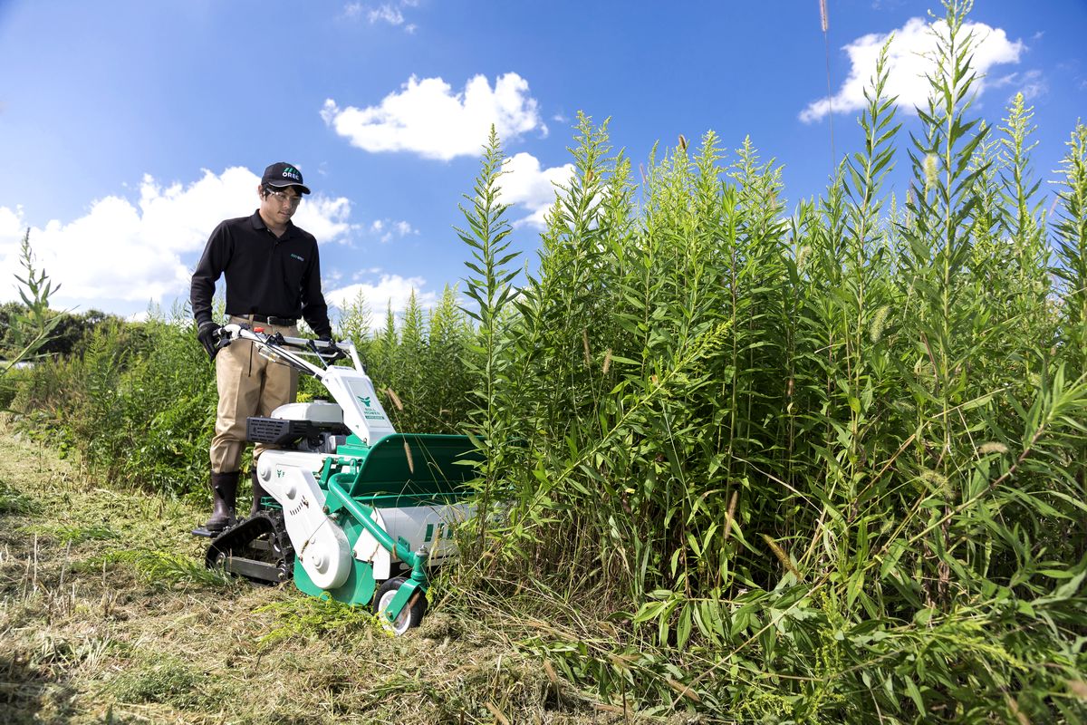 背の高い多年草も粉砕、狭いアレイ間や営農型に向いた手押型草刈機 - 特集 - メガソーラービジネス : 日経BP