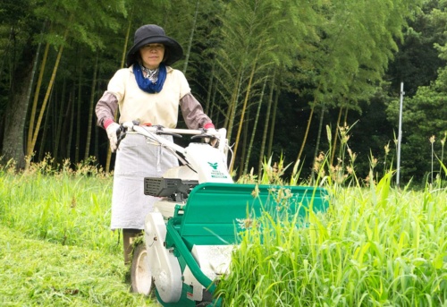 背の高い多年草も粉砕 狭いアレイ間や営農型に向いた手押型草刈機 特集 メガソーラービジネス 日経bp 背の高い多年草も粉砕 狭いアレイ間や営農型に向いた手押型草刈機 特集 メガソーラービジネス 日経bp