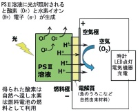 Ncpbeqefjygm Ncpbeqefjygm