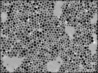 スズドープ酸化インジウムナノ粒子の透過型電子顕微鏡写真