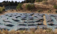 ウエストグループによる太陽光発電所