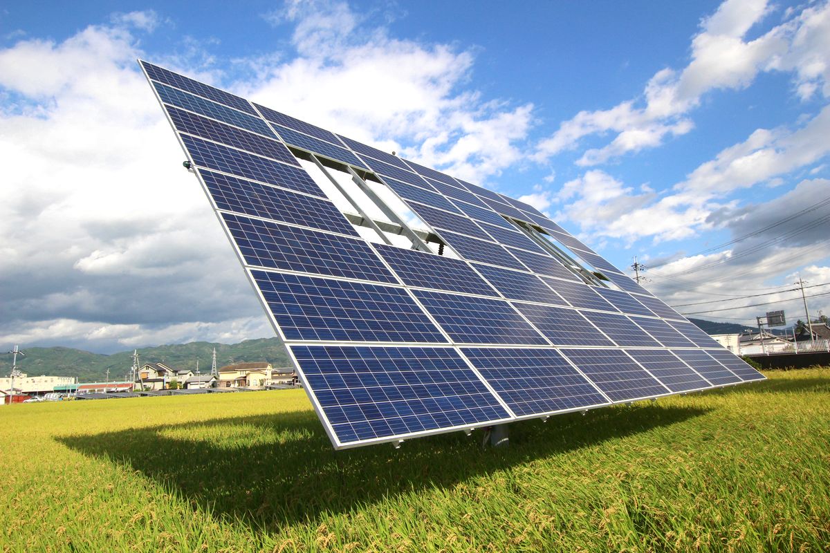 営農型太陽光発電／ソーラーシェアリング - 用語 - メガソーラー