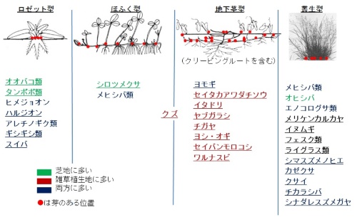 刈り取り で草が増えてしまうのはなぜ 緑地雑草科学研究所に聞く 第7回 後半 メガソーラービジネス