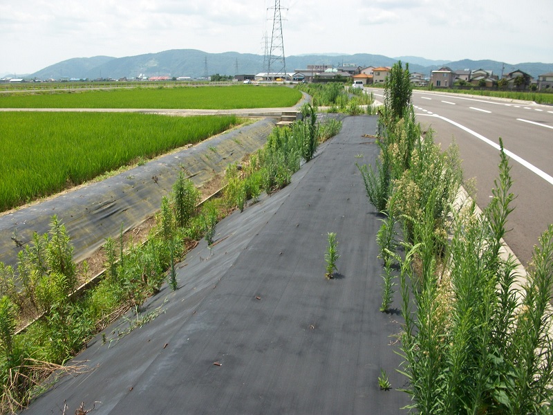 防草シートは 施工前と後が重要 緑地雑草科学研究所に聞く 第6回 後半 特集 メガソーラービジネス 日経bp