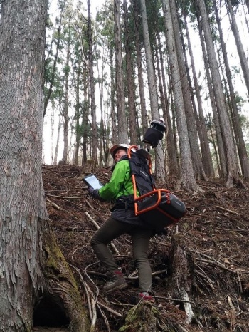 「3DWalker」（斜めに突き出た黒い部分）を背負い森林内をレーザー計測する常務の飯田富和子氏（出所：ウッドインフォ）