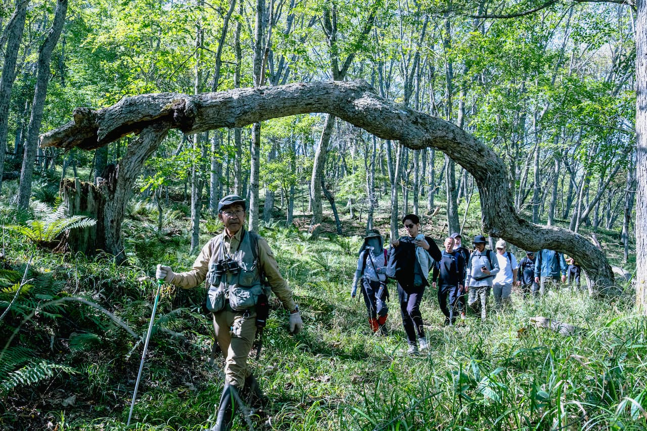 日本一の鶴の里が仕掛ける地方創生（2ページ目） | 一歩先への道しるべ