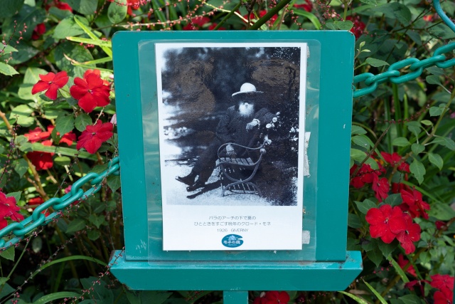 ベンチでくつろぐモネの写真が「水の庭」のバラのアーチの近くにある