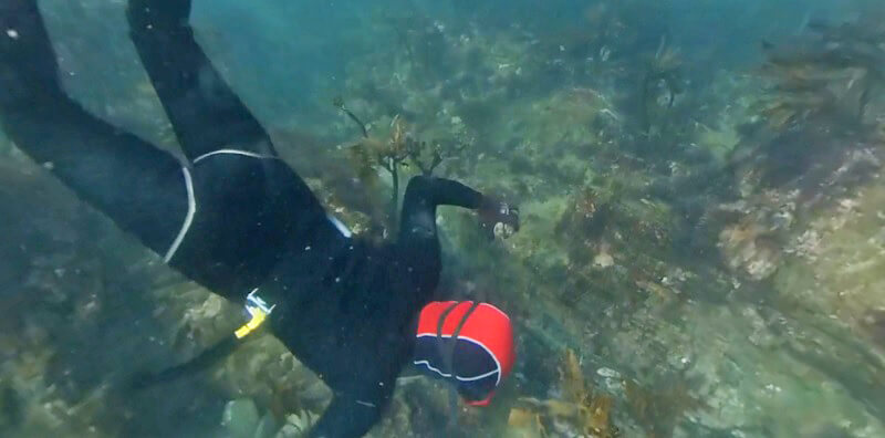 三重県鳥羽市の高校生が 海女 の魅力をvr映像で紹介 教育とict Online