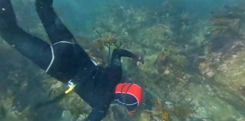 三重県鳥羽市の高校生が 海女 の魅力をvr映像で紹介 教育とict Online 三重県鳥羽市の高校生が 海女 の魅力をvr映像で紹介 教育とict Online