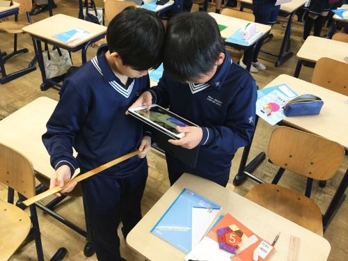 iPadに標準搭載されている「計測」アプリで測定した長さが本当に正確かどうかを実測し、比較している児童