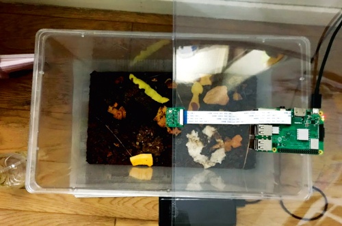 写真撮影と気温測定を全自動化 ダンゴムシの定点観測iot 教育とict Online 写真撮影と気温測定を全自動化 ダンゴムシの定点観測iot 教育とict Online